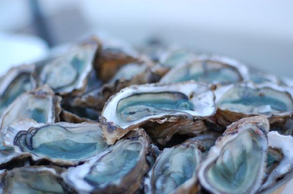 Marennes-Oleron, France